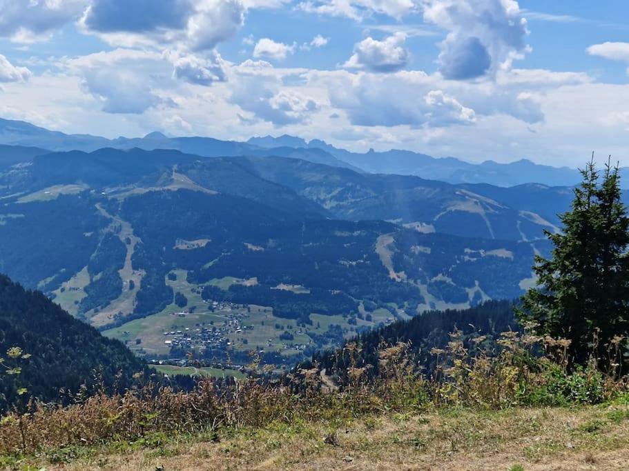 Appartement La Duchere Le Plan-La Giettaz Massif Des Aravis المظهر الخارجي الصورة