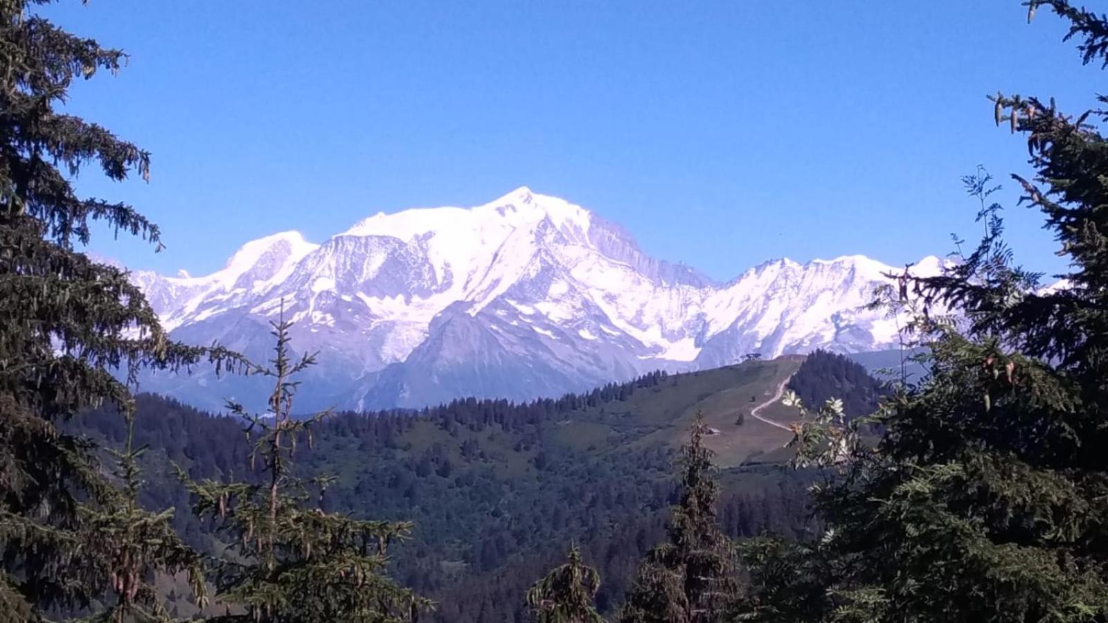 Appartement La Duchere Le Plan-La Giettaz Massif Des Aravis المظهر الخارجي الصورة