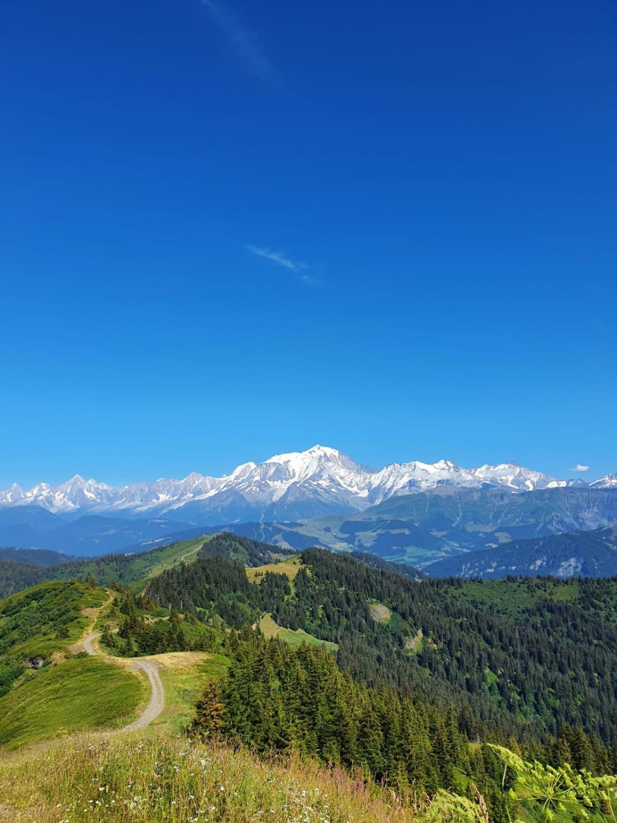 Appartement La Duchere Le Plan-La Giettaz Massif Des Aravis المظهر الخارجي الصورة