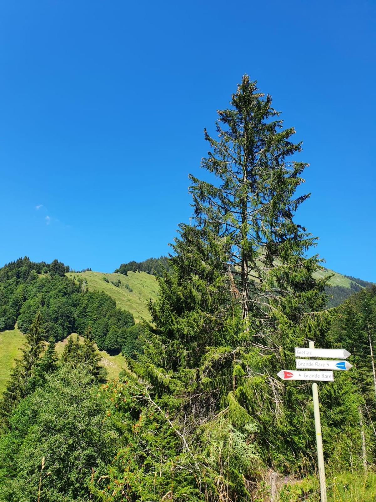 Appartement La Duchere Le Plan-La Giettaz Massif Des Aravis المظهر الخارجي الصورة
