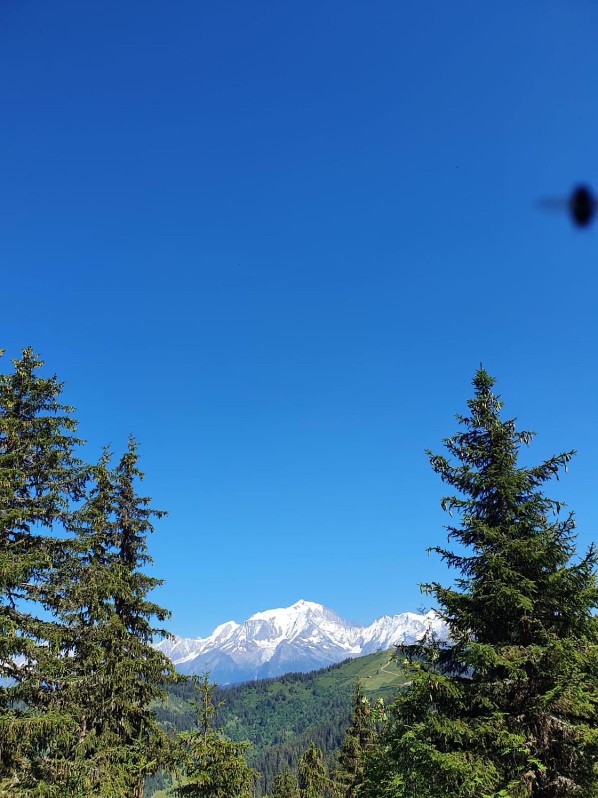 Appartement La Duchere Le Plan-La Giettaz Massif Des Aravis المظهر الخارجي الصورة