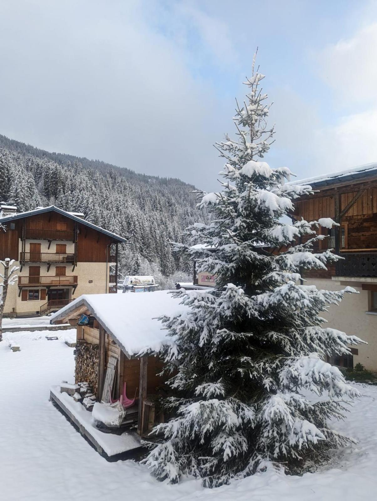 Appartement La Duchere Le Plan-La Giettaz Massif Des Aravis المظهر الخارجي الصورة
